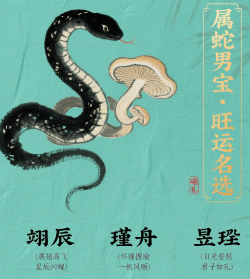 属蛇最旺男孩名字