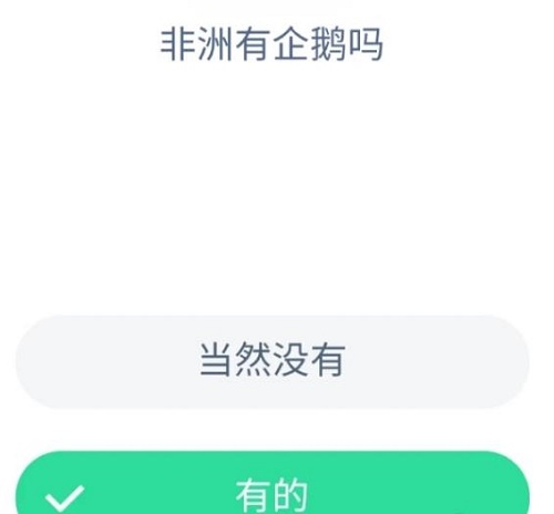 非洲有企鹅吗