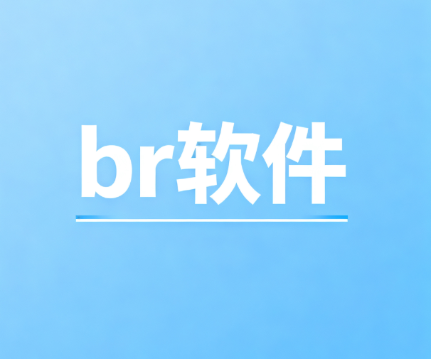br软件