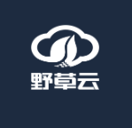 野草云香港BGP线路VPS特价年付88元起