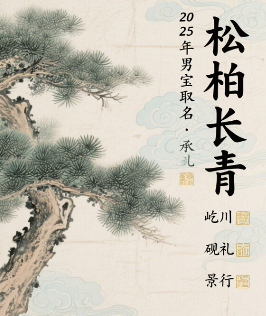 2025年出生的男宝宝名字