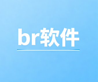br软件