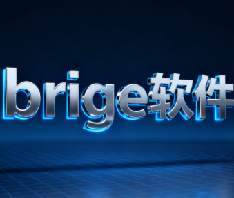bridge软件