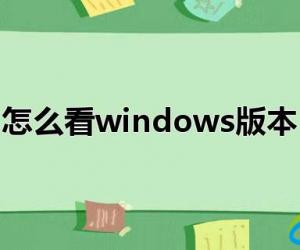 怎么看windows版本